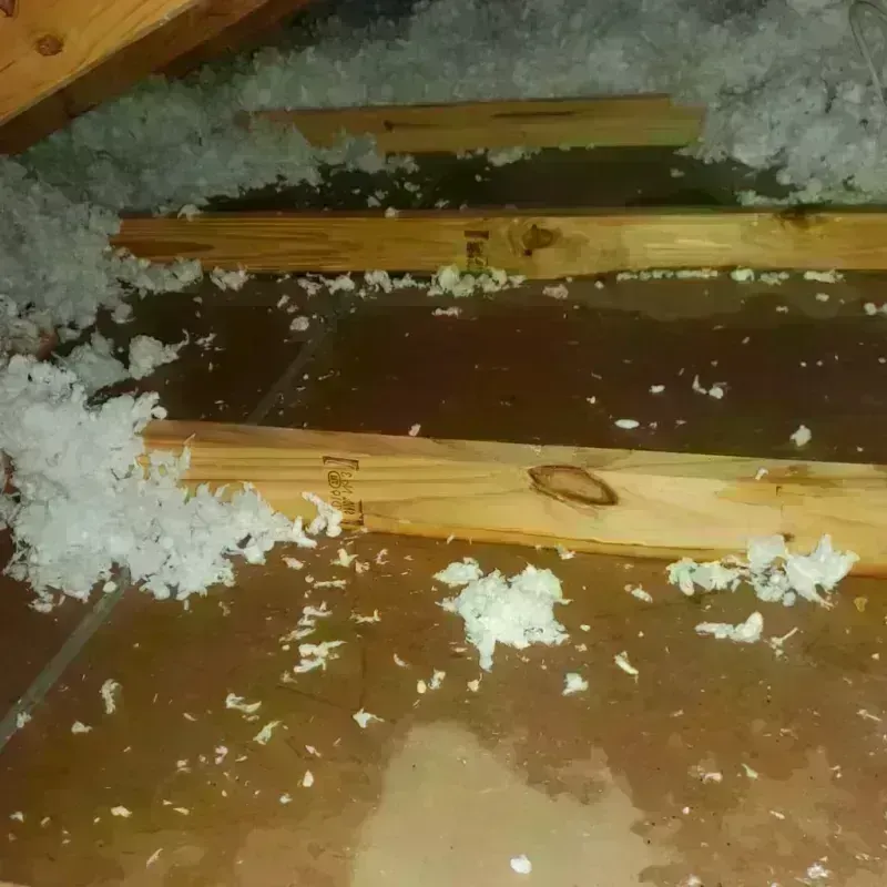 Attic Water Damage in Gaithersburg, MD